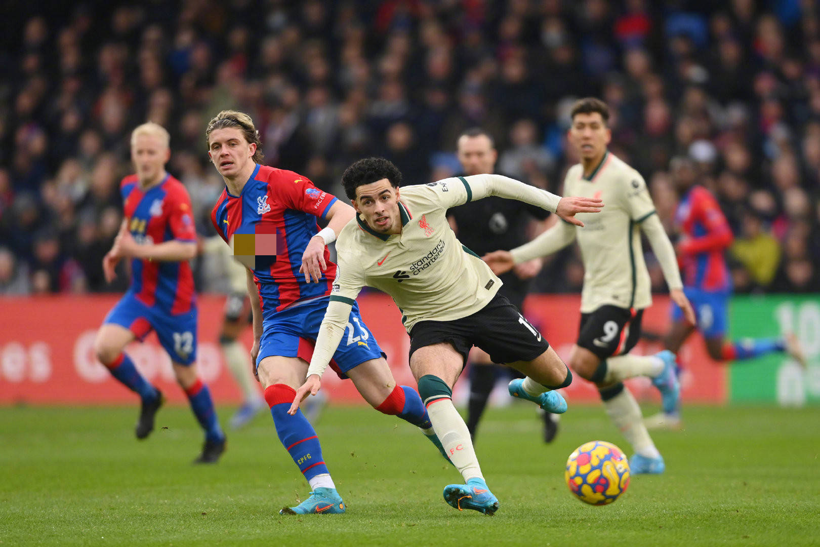 球队可以加 球队可以加